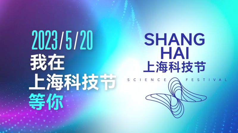 定制软件开发：揭秘成本构成与影响因素